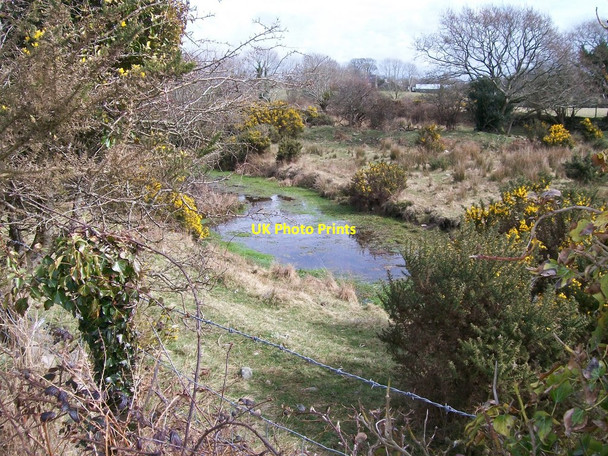 Photo 6"x4" A minor tributary of Afon Erch near Gwernallt Llanarmon c2010
