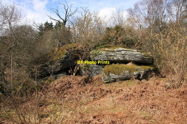 Photo 6"x4" Rugglestone Rock Higher Dunstone c2010