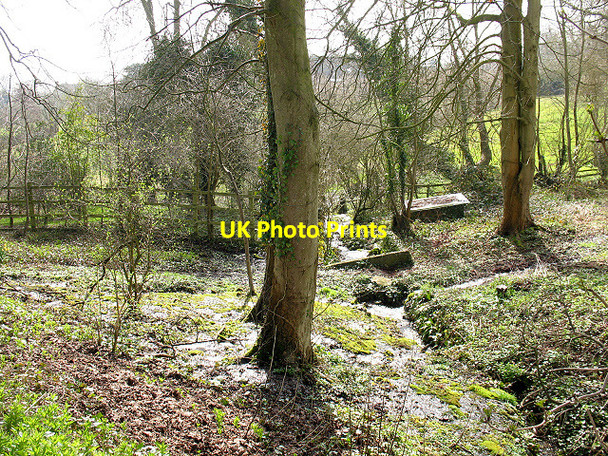 Photo 6"x4" Springs in the grounds of Stanton House Stanton St John c2010