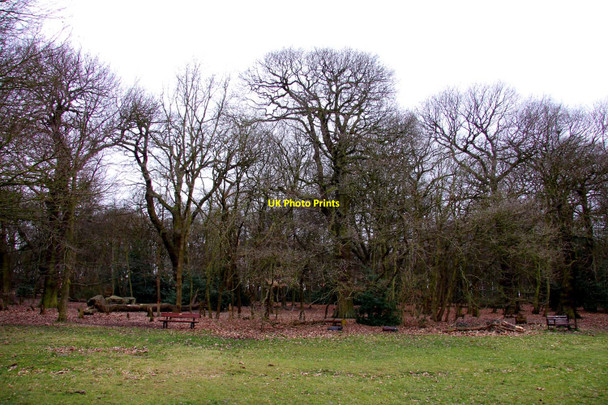 Photo 6"x4" Eastham Country Park picnic area Eastham Ferry c2010
