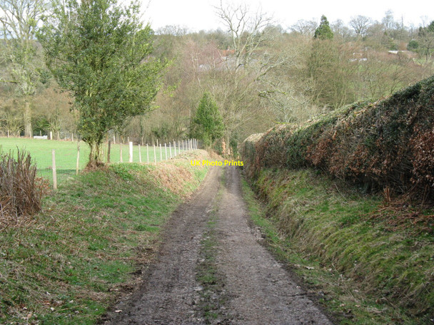 Photo 6"x4" Footpath descent before climb to Twyford Farm Wych Cross c2010