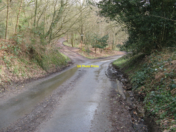 Photo 6"x4" Footpath leaving country lane at Stumblewood Common Birchgrove\/TQ4029 c2010