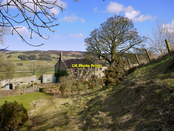 Photo 6"x4" Farm cottages, Great Tosson Great Tosson c2010