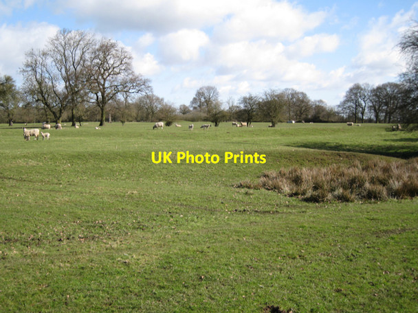 Photo 6"x4" Field southeast of Firs Farm Haseley Green c2010