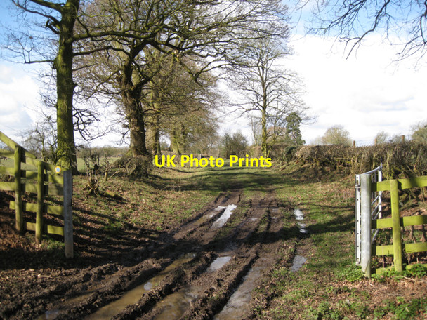 Photo 6"x4" Bridleway, Haseley Green Haseley Green c2010