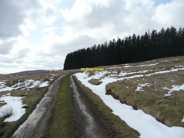 Photo 6"x4" Farm track heading to Oval Forest Buchanty c2010