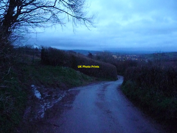 Photo 6"x4" Mid Devon : Country Road Tiverton\/SS9512 c2010 P1