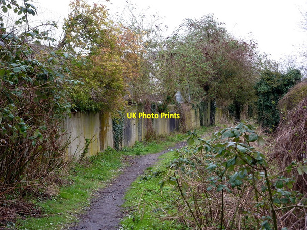Photo 6"x4" Gipping river footpath Stowmarket c2010