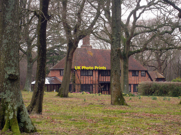 Photo 6"x4" Broadlands Wood Broadland Row c2010