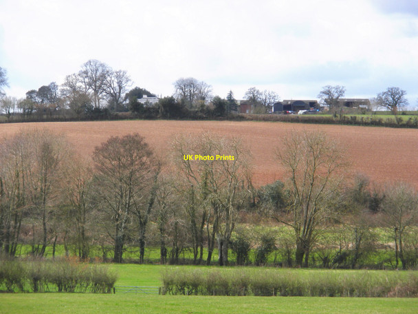 Photo 6"x4" View towards Rydon Barton Higher Tale c2010