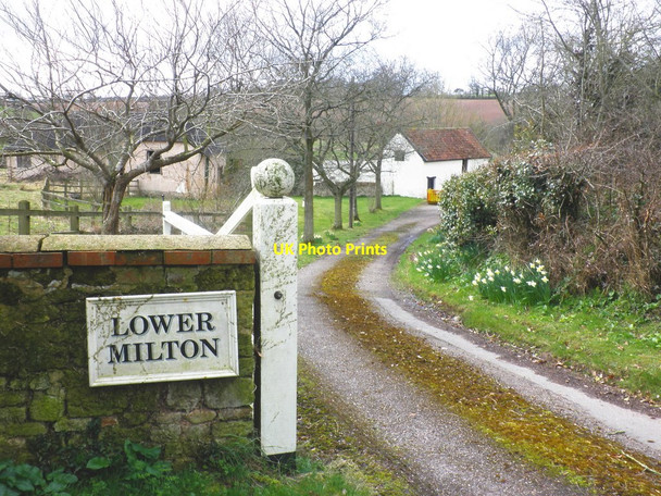 Photo 6"x4" Entrance to Lower Milton Farm Colestocks c2010