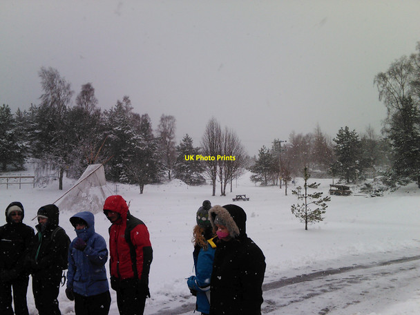 Photo 6"x4" The Indians are invading Lagganlia in the snow Lagganlia c2010