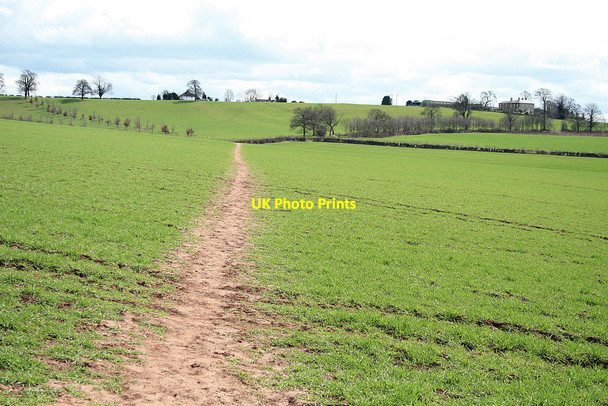 Photo 6"x4" Path across Melbourne Parks Wilson\/SK4024 c2010