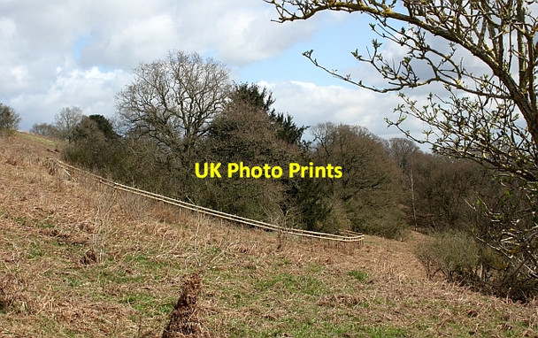 Photo 6"x4" New enclosures on Chase End Hill Chase End Street c2010 P1