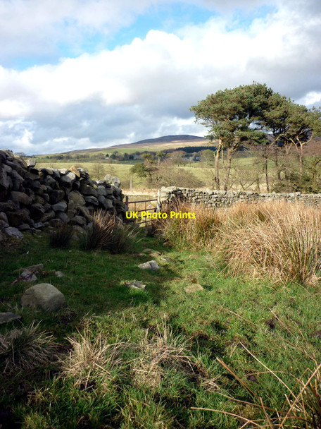 Photo 6"x4" Gateway near Damas Gill Reservoir Hare Appletree c2010
