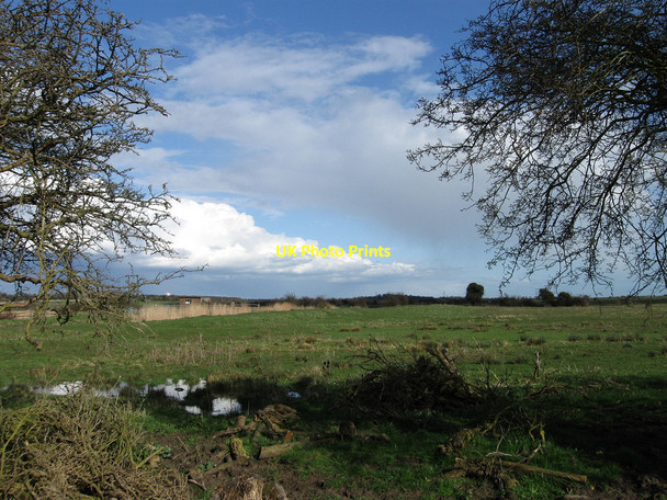 Photo 6"x4" Chantlers Marsh Golden Cross\/TQ6310 c2010