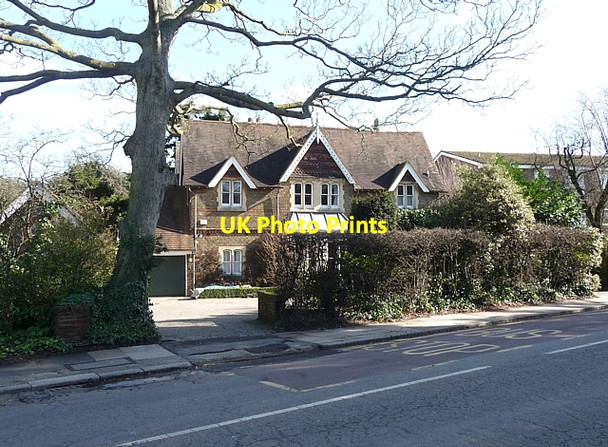 Photo 6"x4" 325 Leigham Court Road Streatham c2010