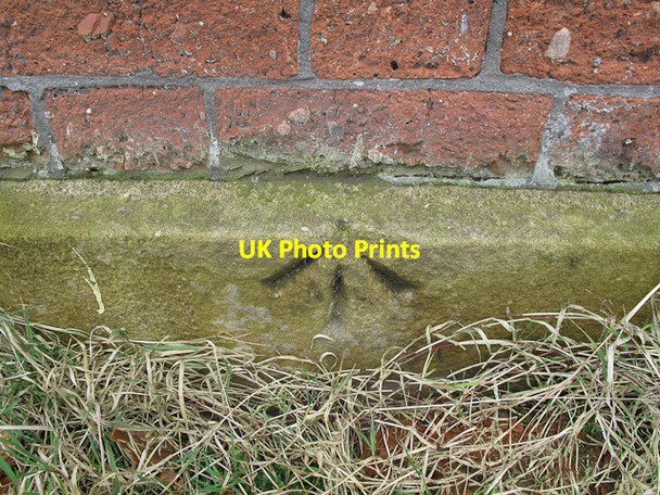 Photo 6"x4" Pivot Bench Mark Bolton\/SD7108 c2010