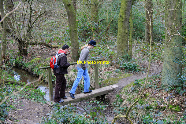 Photo 6"x4" Crossing a small brook Breedon on the Hill c2010