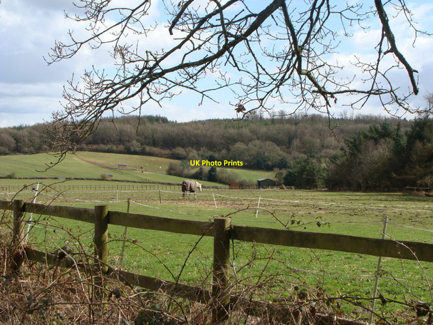 Photo 6"x4" Field, with resident, near Trellech Trellech c2010