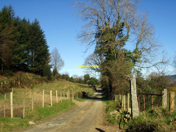 Photo 6"x4" Laneway above Ballinaclash Ballinaclash c2003
