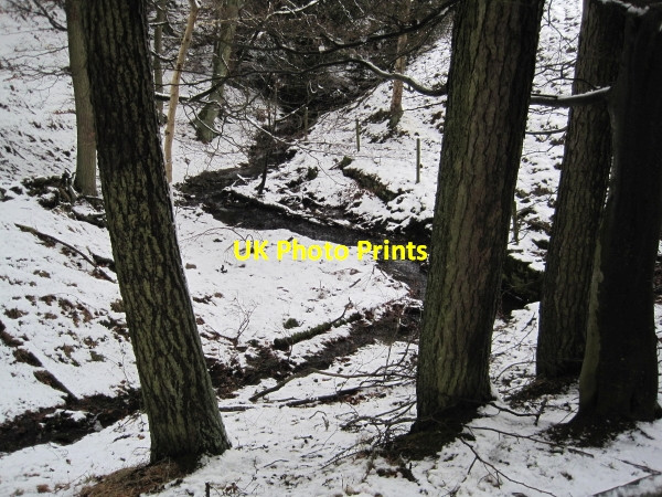Photo 6"x4" Steel Burn Allendale Town c2010