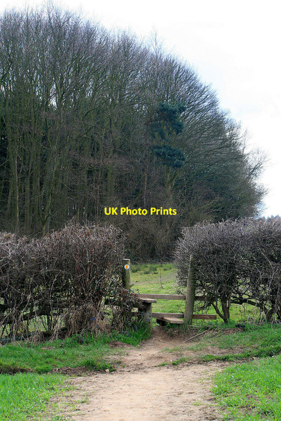 Photo 6"x4" Stile and Moat Wood Wilson\/SK4024 c2010