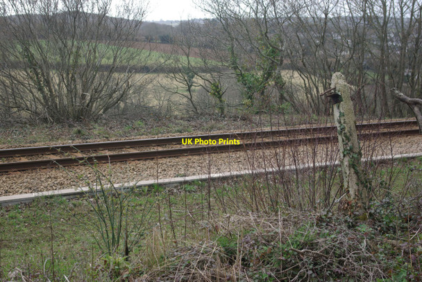 Photo 6"x4" Falmouth branch line near Perranwell Perranwell\/SW7739 c2010