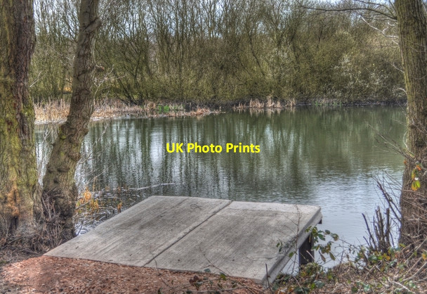 Photo 6"x4" Fishing or viewing stage Alvecote c2010