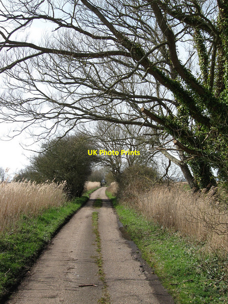 Photo 6"x4" Old Marsh Road Wartling c2010