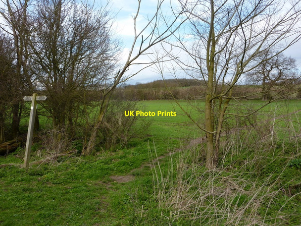 Photo 6"x4" Footpath junction Battisford c2010