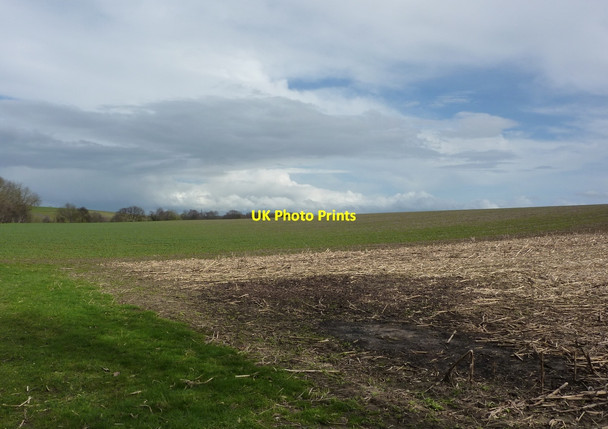 Photo 6"x4" Suffolk field from woodland edge Battisford c2010