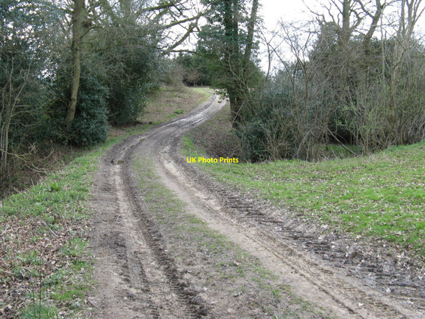 Photo 6"x4" Farm track and footpath near Newells Farm Monk's Gate c2010