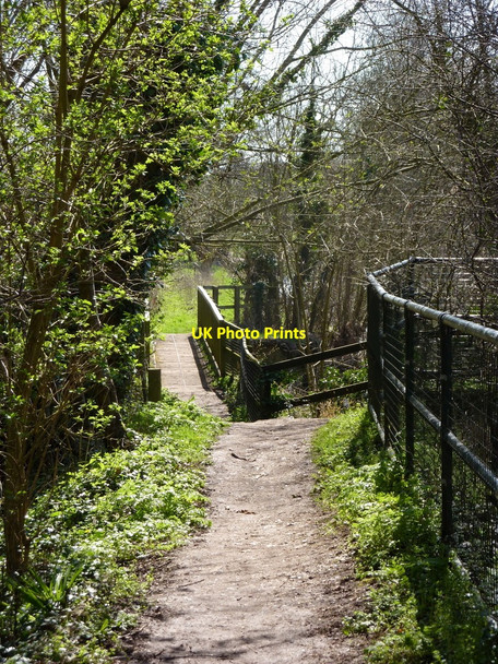 Photo 6"x4" Gipping footpath past Hawks Mill Lock Needham Market c2010
