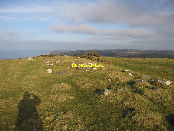 Photo 6"x4" Coastal clifftop grazing Blaencelyn c2010