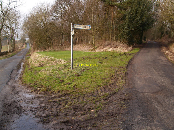 Photo 6"x4" Road Bifurcation near Fawcett Hill Sandhoe c2010