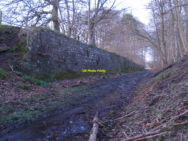 Photo 6"x4" Railway Cutting on disused North Tyne Line south of Chollerford Chollerford c2010