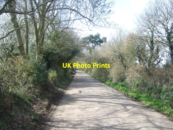 Photo 6"x4" Road from Woodbury Salterton to Clyst St Mary Clyst St George c2010