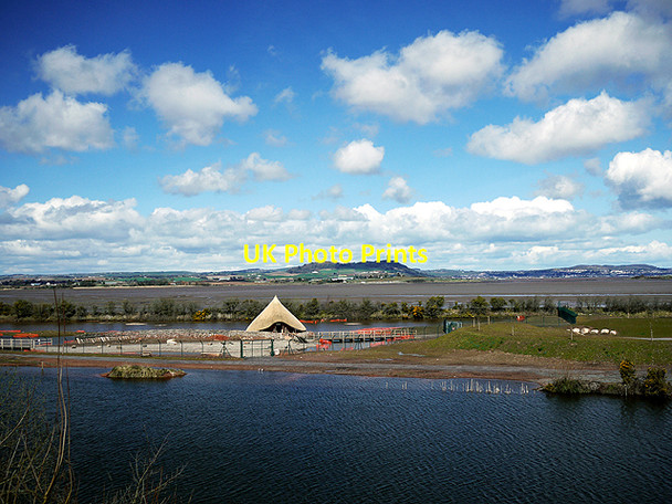 Photo 6"x4" Castle Espie Comber c2010