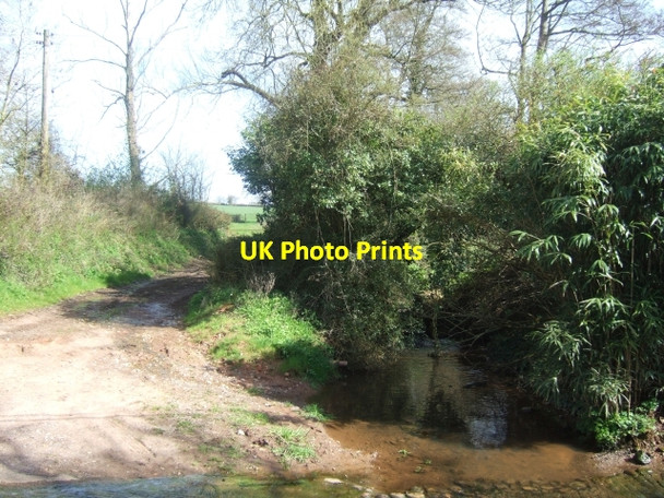 Photo 6"x4" The stream at Pytte Clyst St George c2010