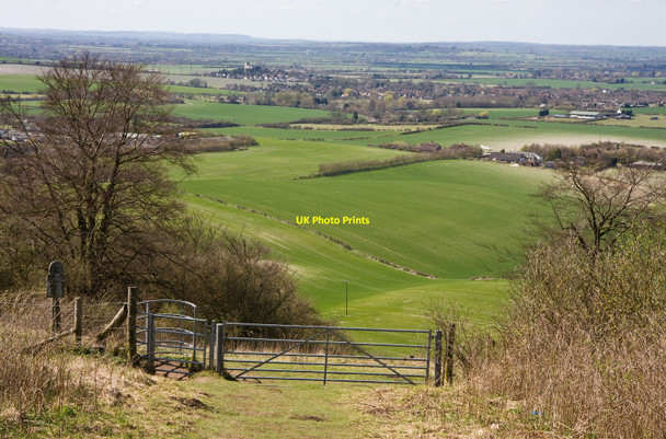 Photo 6"x4" Gates on Dunstable Downs Dunstable c2010