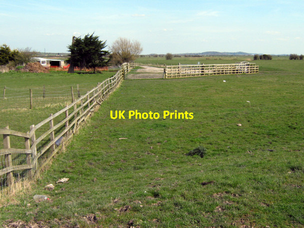 Photo 6"x4" Pawlett Hams Combwich c2010