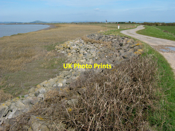 Photo 6"x4" Riverside track and flood wall, River Parrett Pawlett Hill c2010