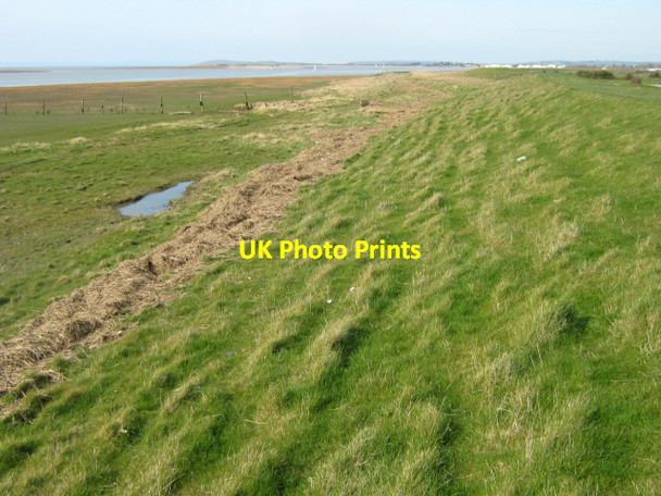 Photo 6"x4" Flood retaining bank by the River Parrett Pawlett Hill c2010