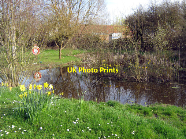 Photo 6"x4" Village pond, Huntspill Huntspill c2010