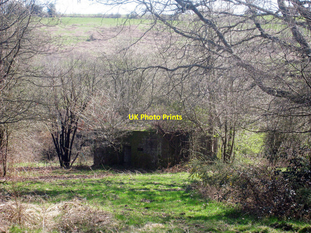 Photo 6"x4" Pillbox near Railway Heathfield\/TQ5630 c2010