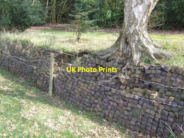 Photo 6"x4" Boundary wall to woodland - Blithfield Hall Admaston\/SK0523 c2010