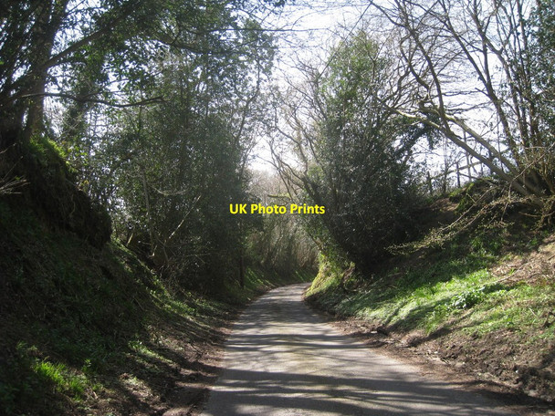 Photo 6"x4" Fowly Lane Potter's Green\/TQ5023 c2010