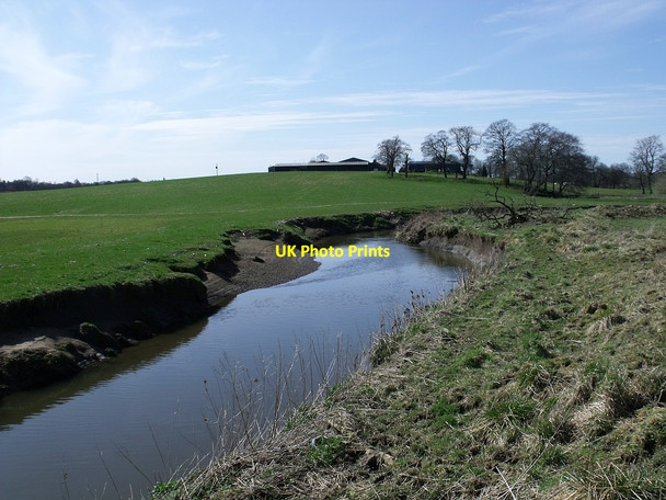 Photo 6"x4" The Luggie and Barbeth Farm Blackwood\/NS7274 c2010