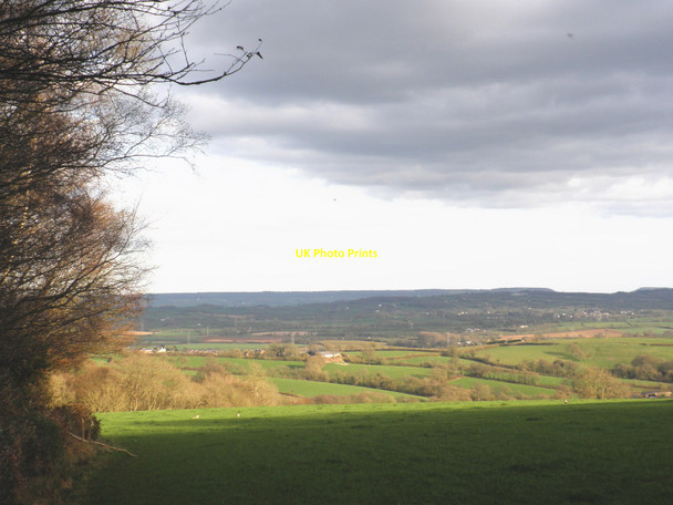 Photo 6"x4" View towards Westwood and the Clyst Valley Westwood\/SY0198 c2010